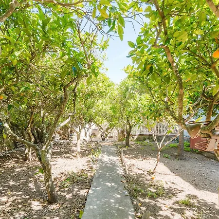 Vittorio Stella Διαμέρισμα Valderice