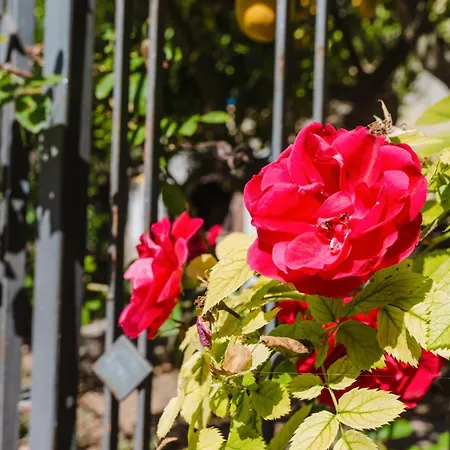 Διαμέρισμα Vittorio Stella