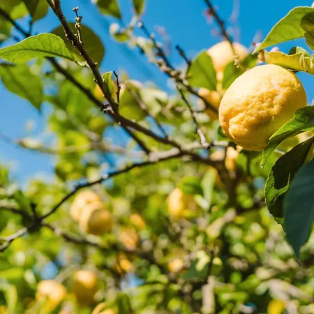 Διαμέρισμα Vittorio Stella *